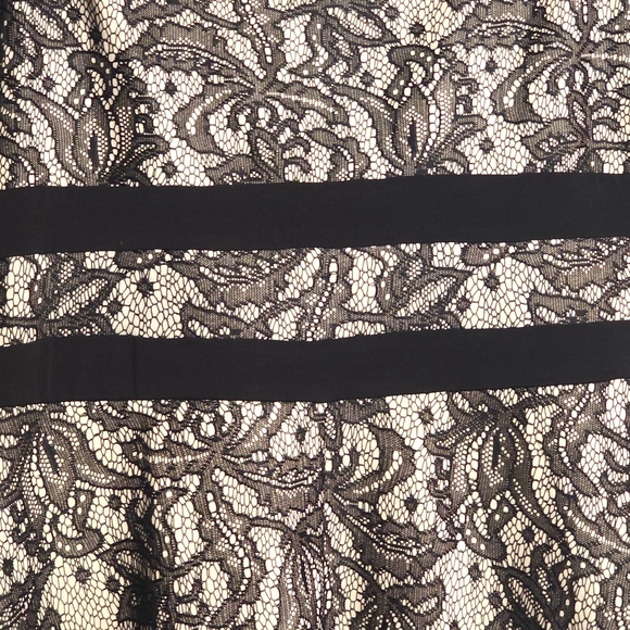 Elegant Black Lace Dress - Picture 5 of 7